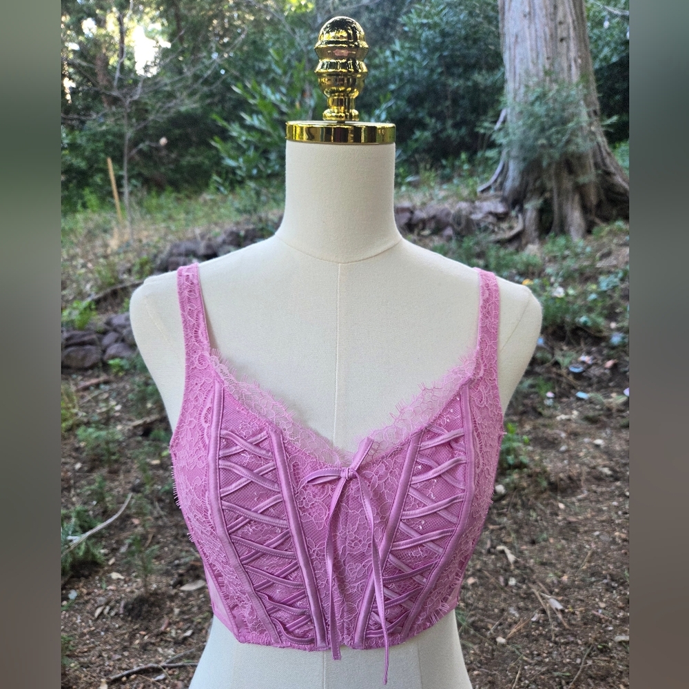 Victorias Secret‎ Dream Angels Light Pink Lace Corset Bra Size Small
